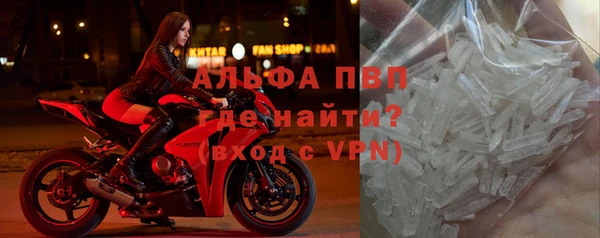 прущие грибы Протвино