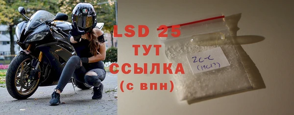 прущие грибы Протвино