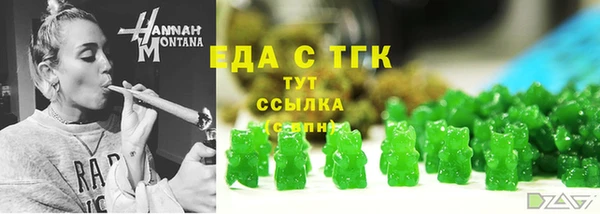 индика Покачи