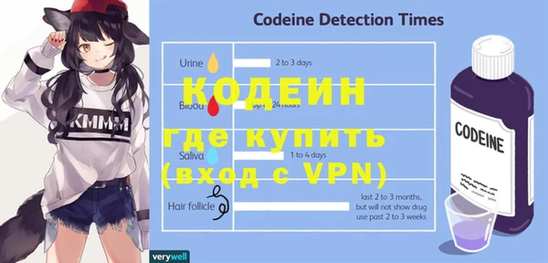 индика Покачи