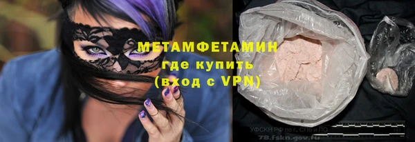 прущие грибы Протвино