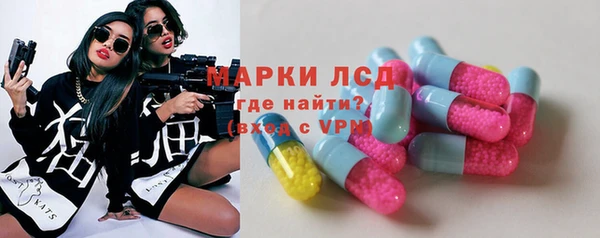 прущие грибы Протвино