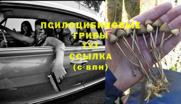 стафф Пролетарск