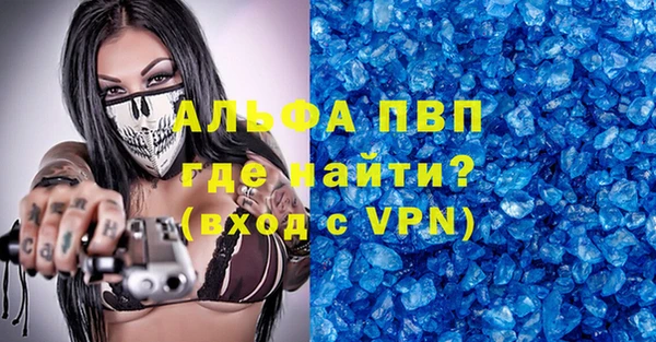 индика Покачи