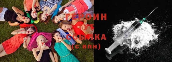 индика Покачи