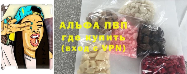 прущие грибы Протвино